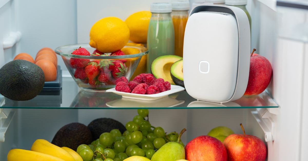 Shelfy: l’alleato ideale per ridurre lo spreco alimentare