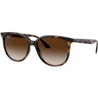 Ray - Ban Donna RB4378 710/13 Occhiali da sole Iniettato Tartaruga Marrone Squadrata Normale Sfumato