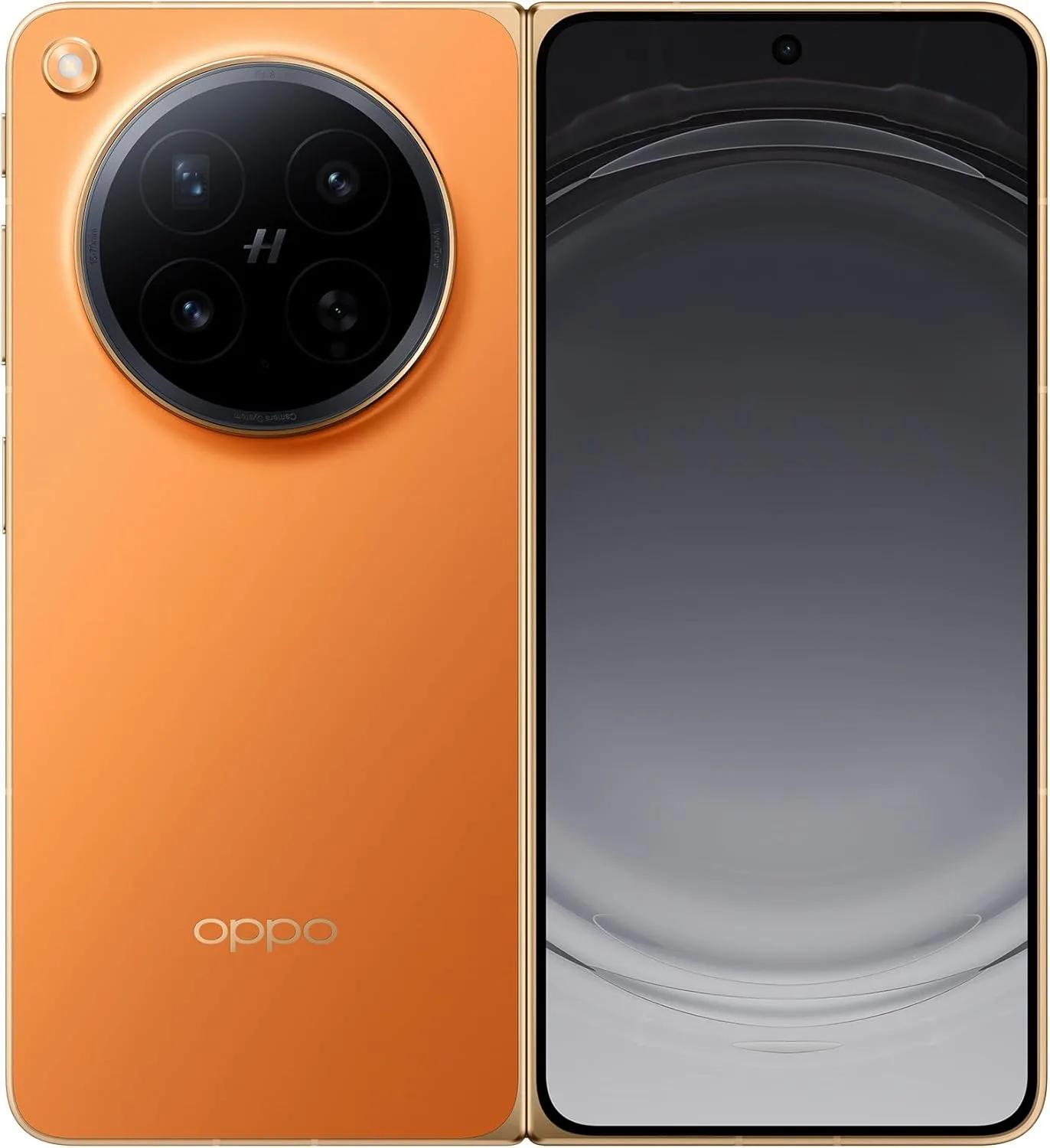 Scheda tecnica Motorola Signature