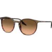 Ray - Ban Unisex Ray - Ban RB2204 13953B Occhiali da sole Acetato Marrone Rosa Pantos Normale Sfumato
