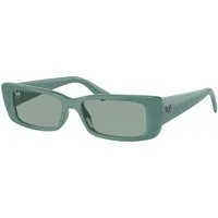 Ray – Ban Unisex Ray – Ban RB4425 TERU 676282 Occhiali da sole Iniettato Verde Verde Squadrata Normale