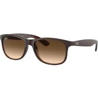 Ray - Ban Uomo Ray - Ban RB4202 ANDY 607313 Occhiali da sole Iniettato Marrone Marrone Squadrata Normale Sfumato