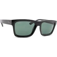 Ray-Ban Warren RB4396 667771